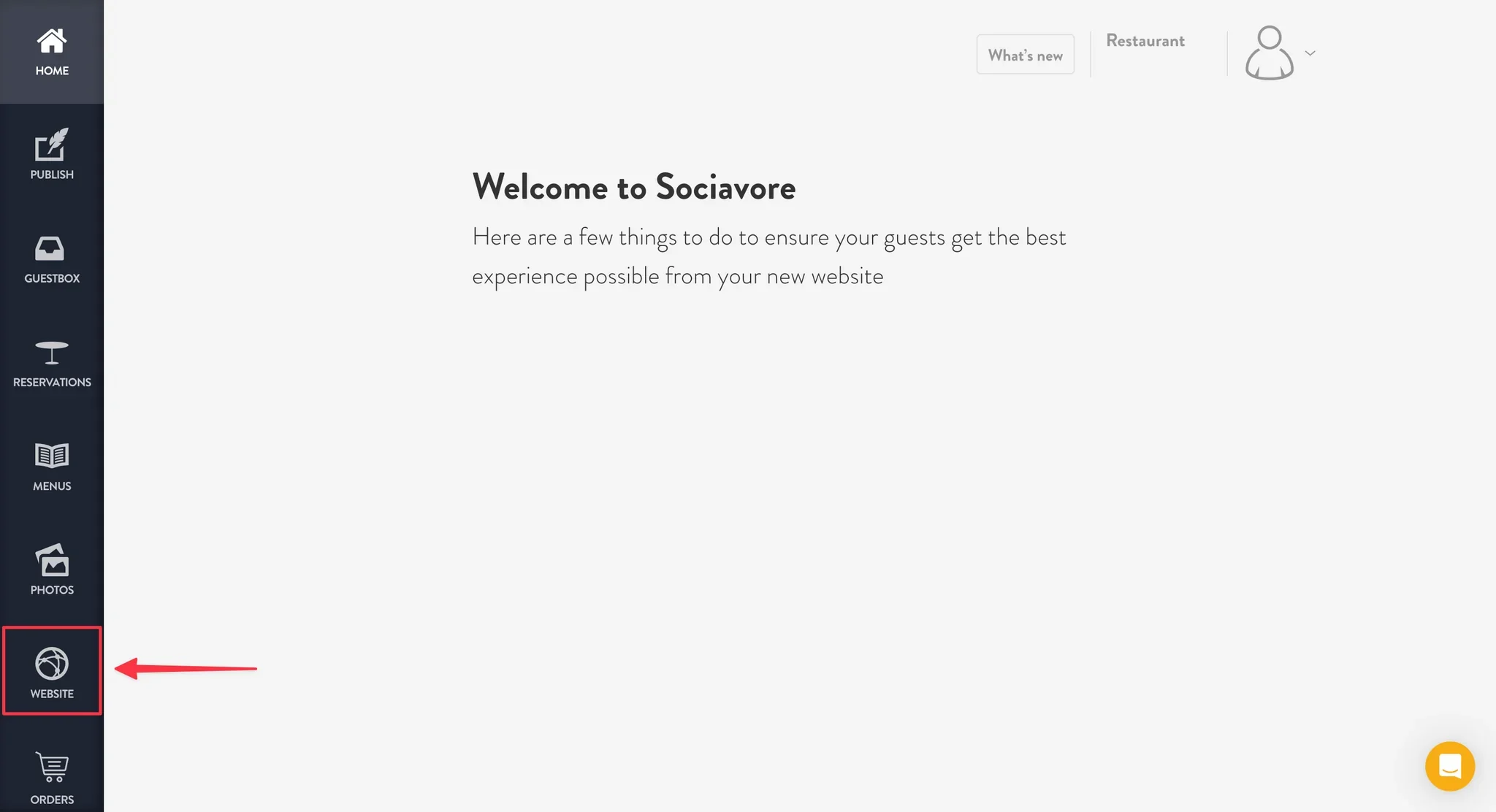 click the website tab