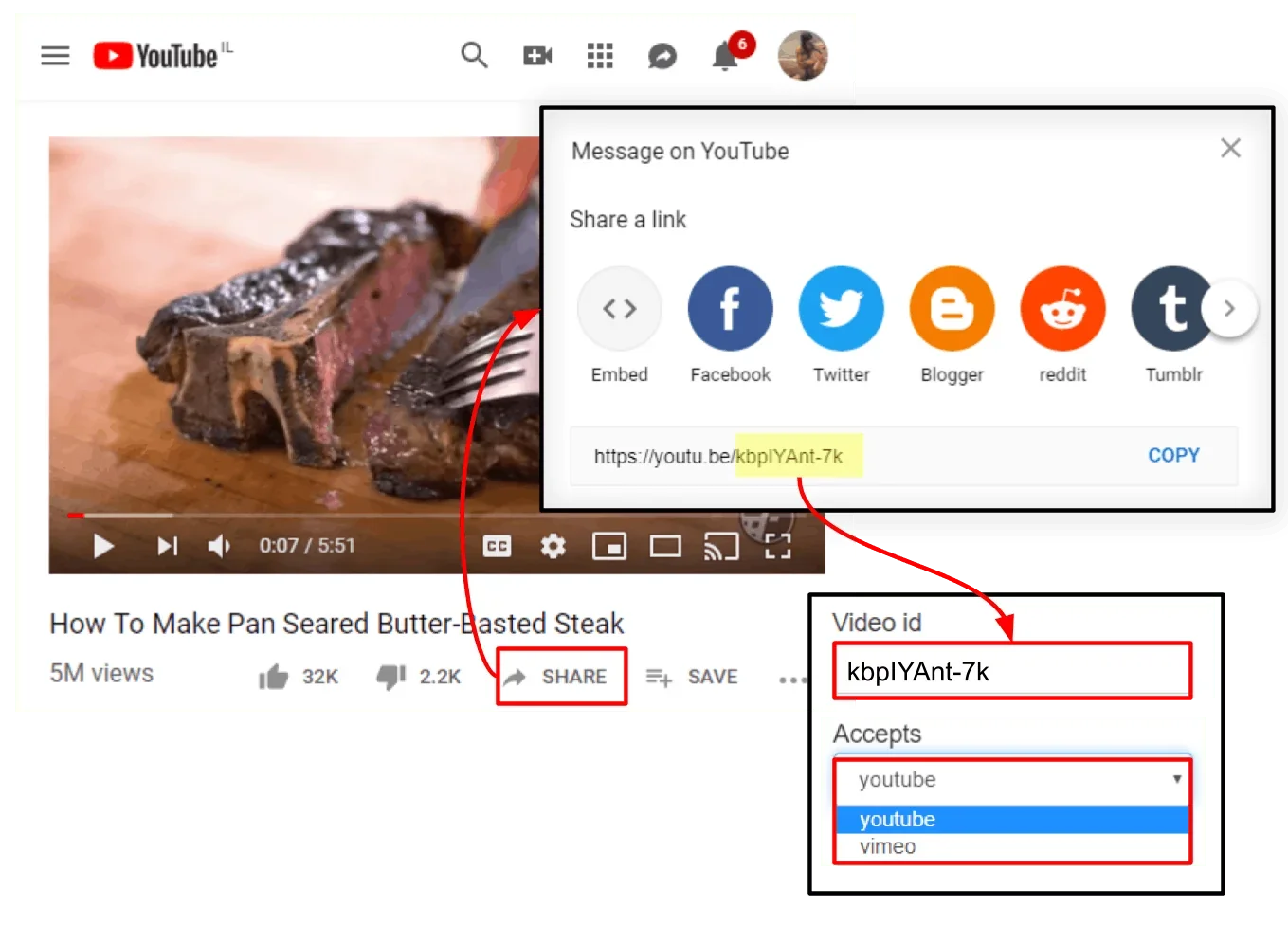 find the video id in youtube share options