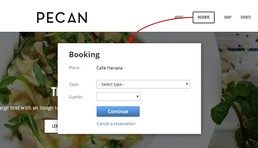 sample booking pop-up
