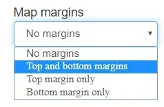 margins options