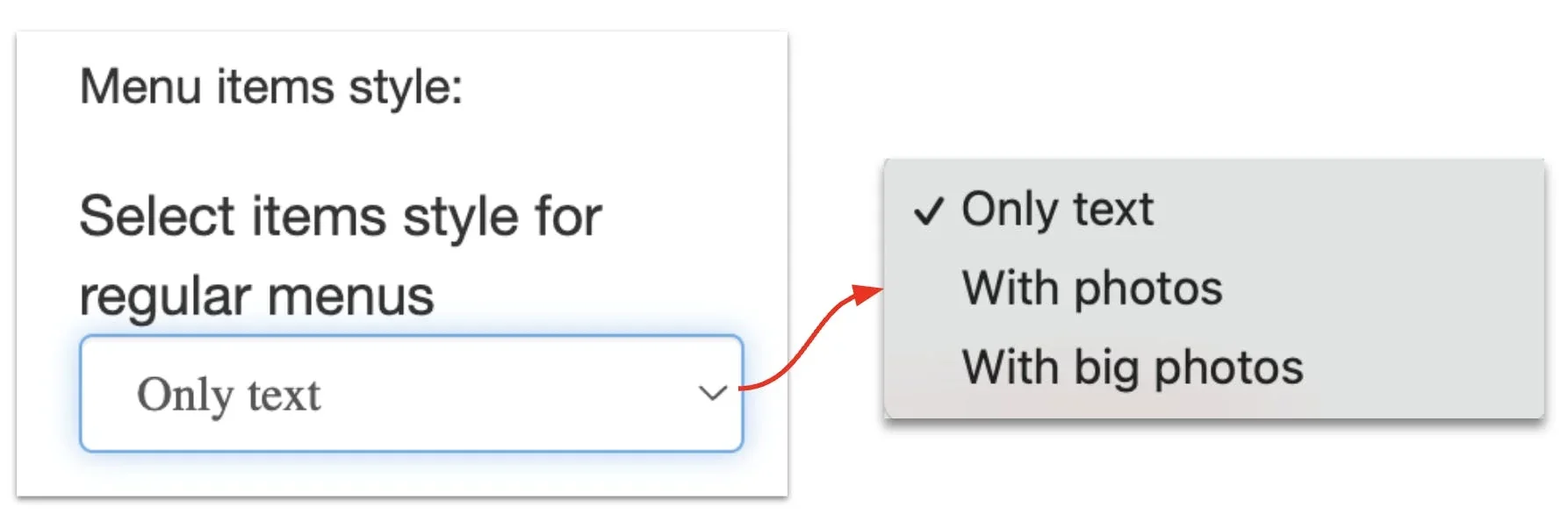 menu options for text, photos, or big photos