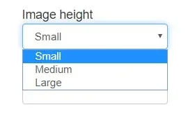 image height options