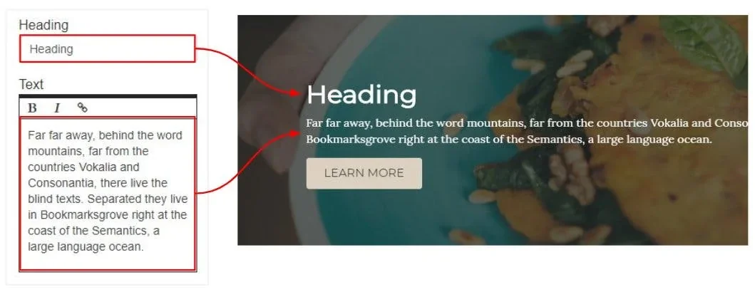 text example