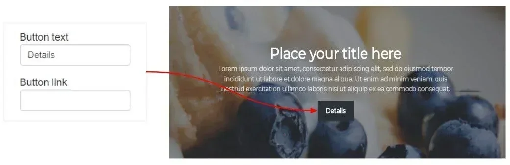 button text and link options