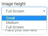 image height options: small, medium, or full screen