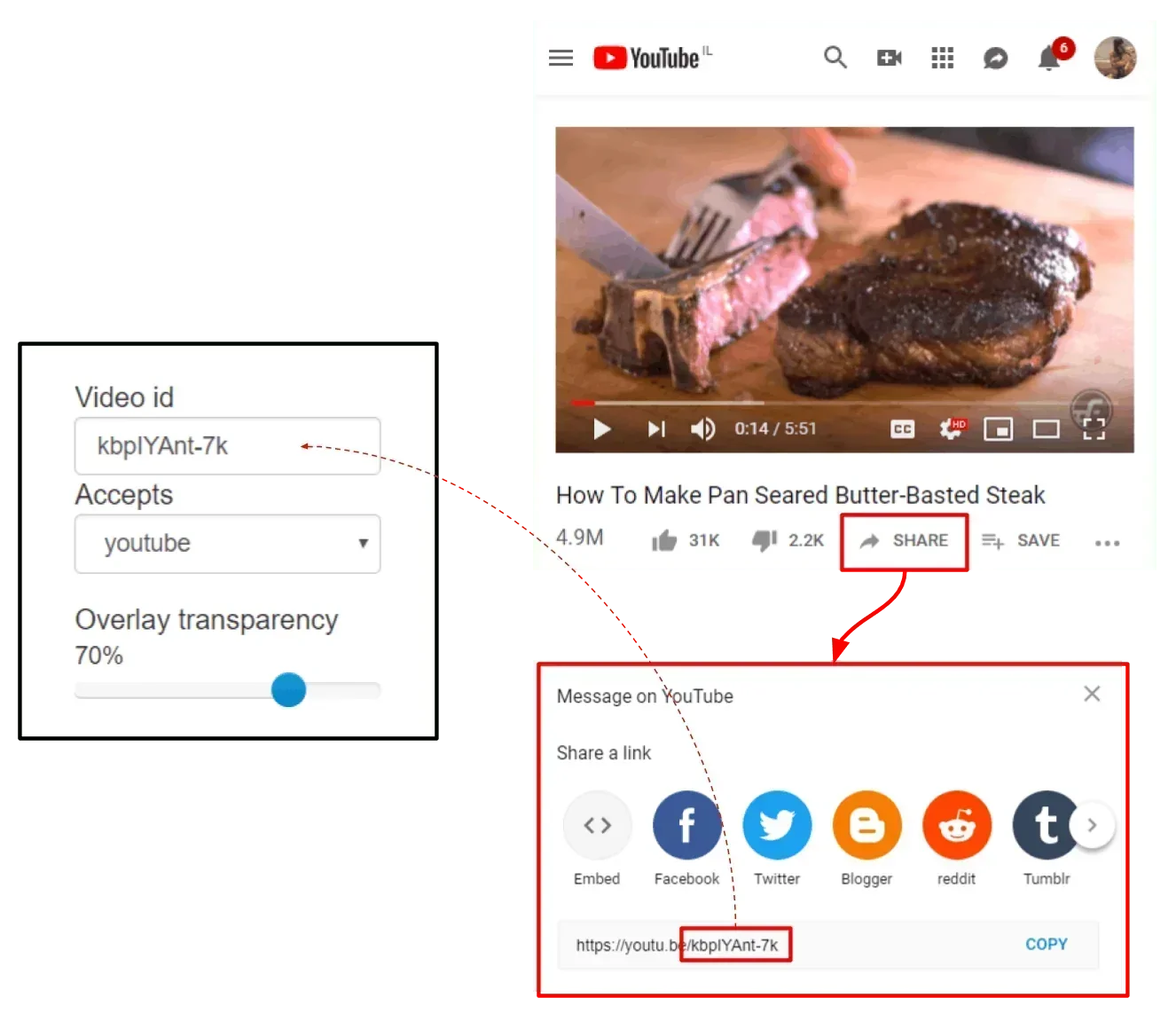 find the video id by sharing on Youtube