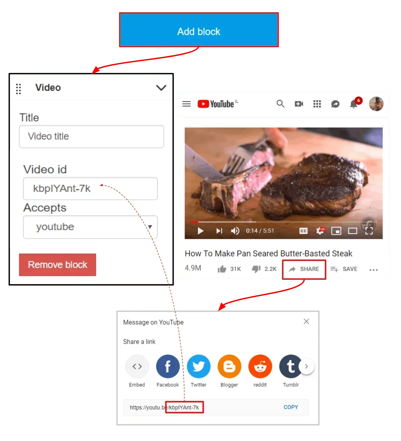 The Youtube id can be found on the share button on Youtube
